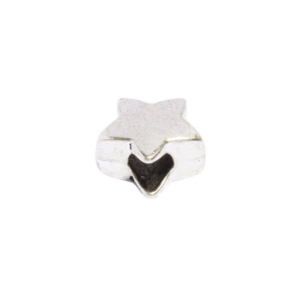 Bandajanas_Slipperbedel_Silver_Star_Z014