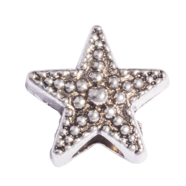 Bandajanas_Slipperbedel_Star_of_Seas_Z024