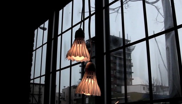 Birdielightvideo