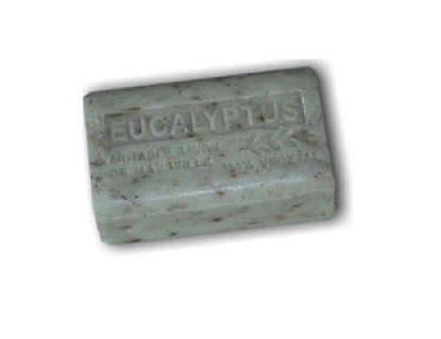 Eucalypus