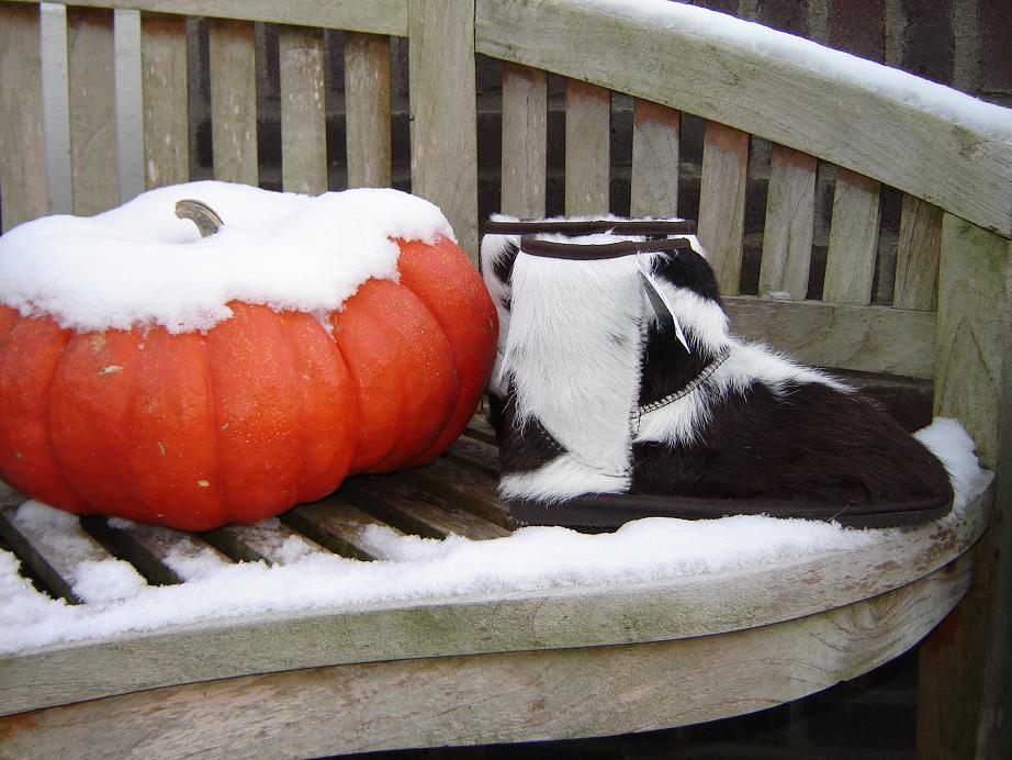 Mooshortbruin