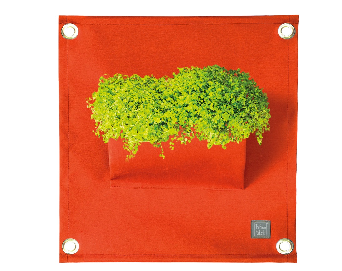 blooming_walls_amma1_A02_orange