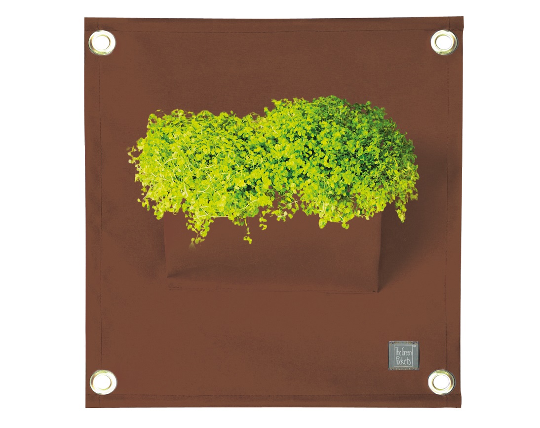 blooming_walls_amma1_A08_brown