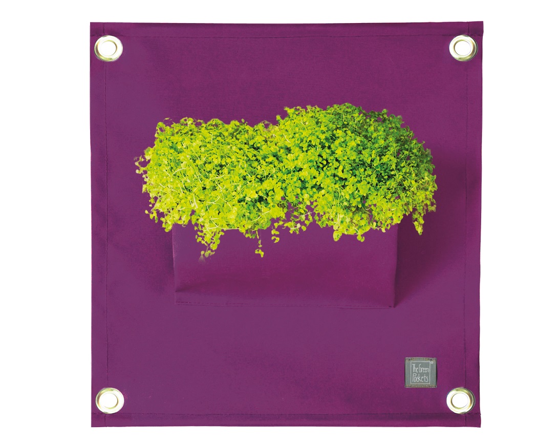 blooming_walls_amma1_A16_purple