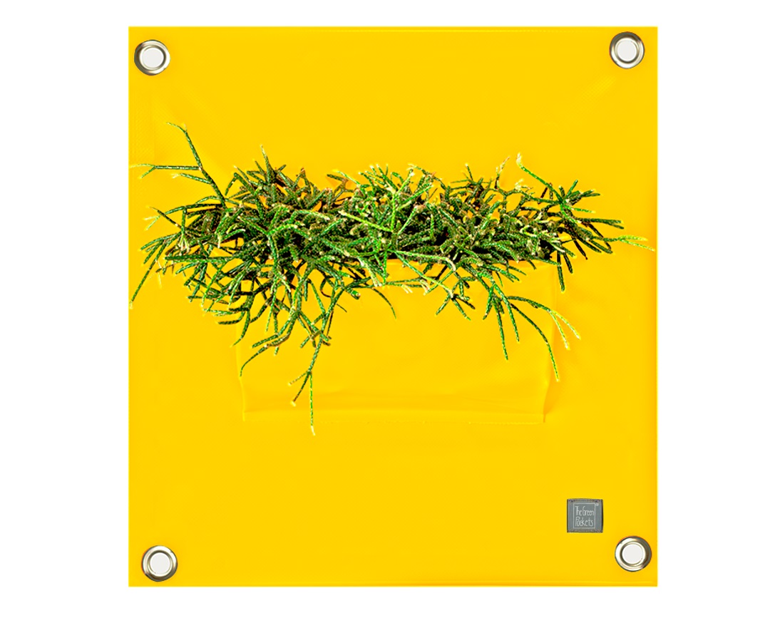 blooming_walls_peva1_p01_yellow