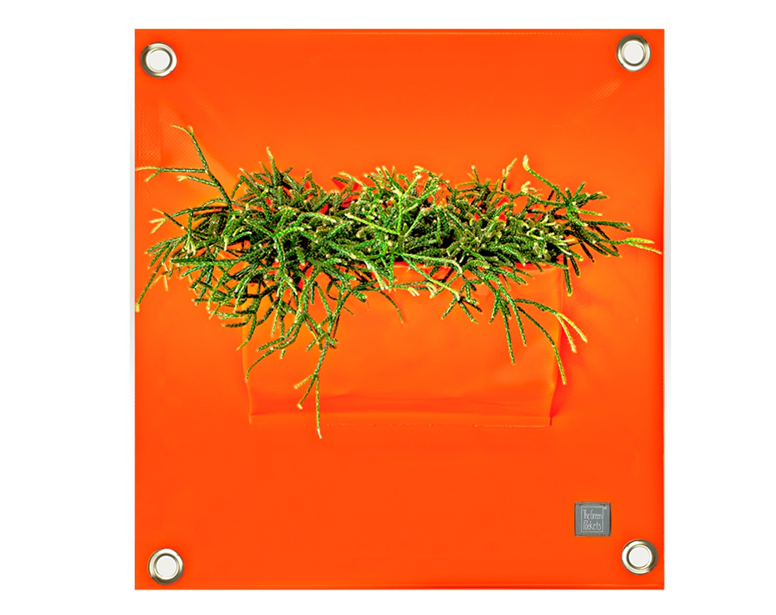 blooming_walls_peva1_p02_orange