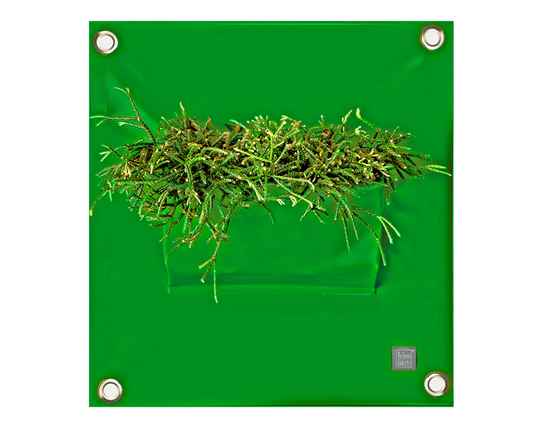 blooming_walls_peva1_p03_green