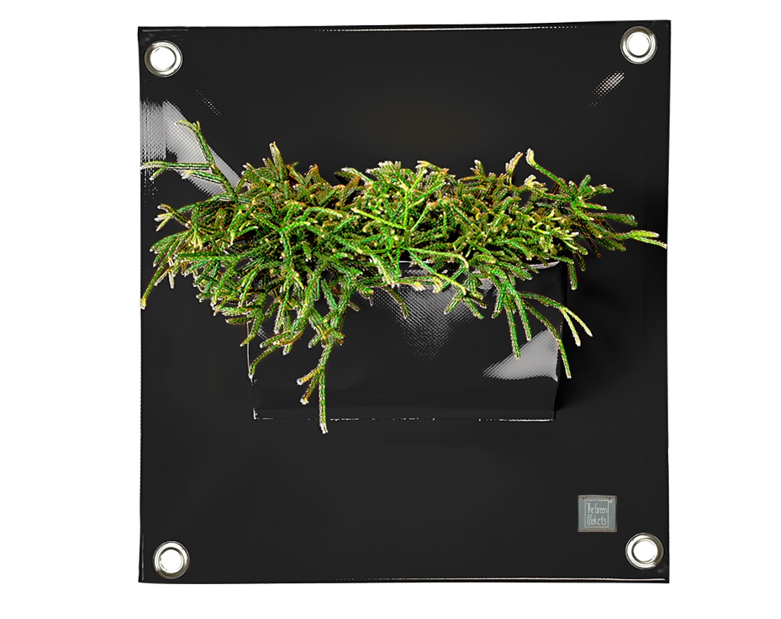 blooming_walls_peva1_p04_black
