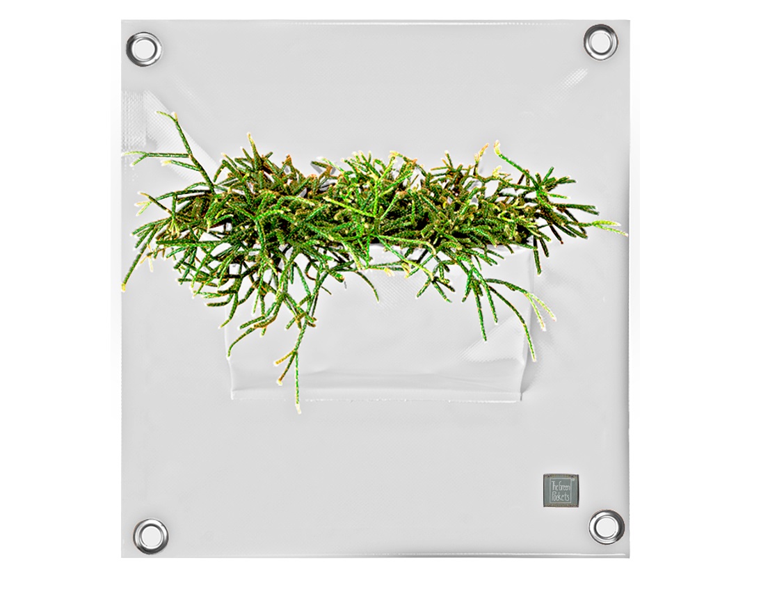 blooming_walls_peva1_p05_white