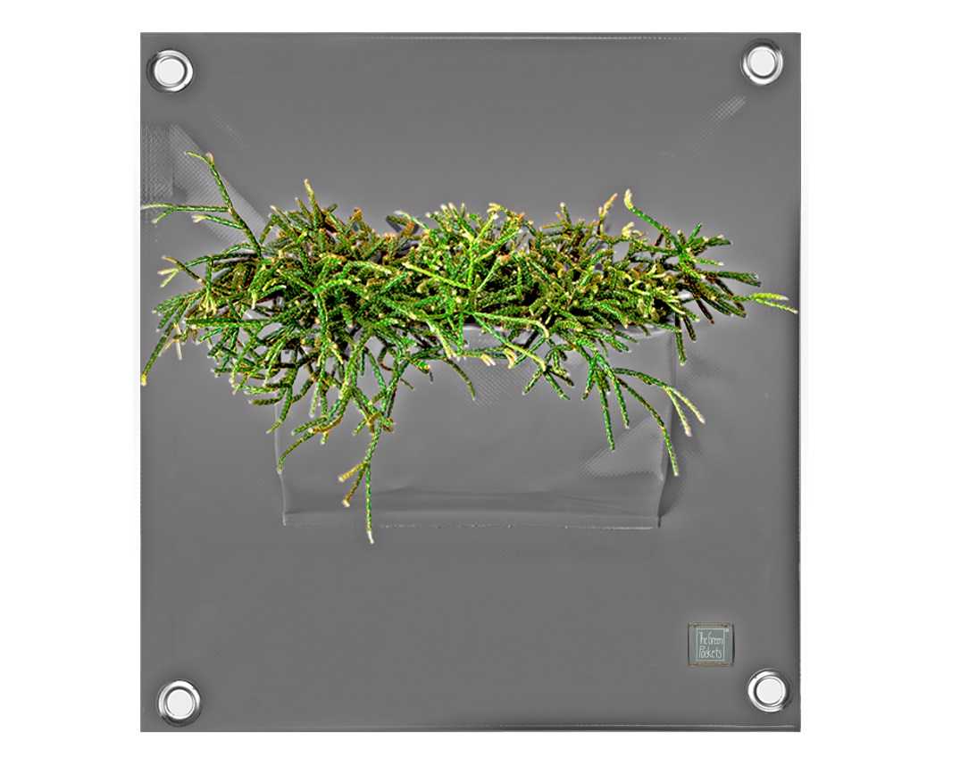 blooming_walls_peva1_p06_grey