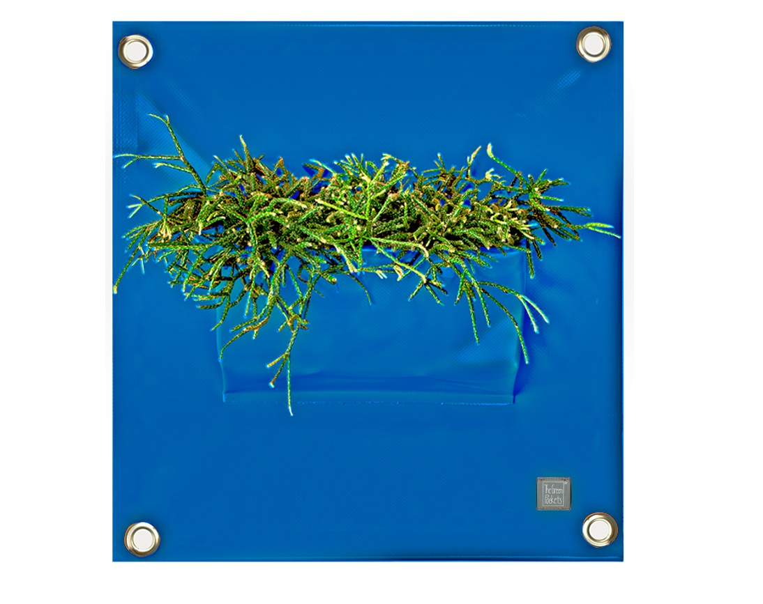 blooming_walls_peva1_p07_blue