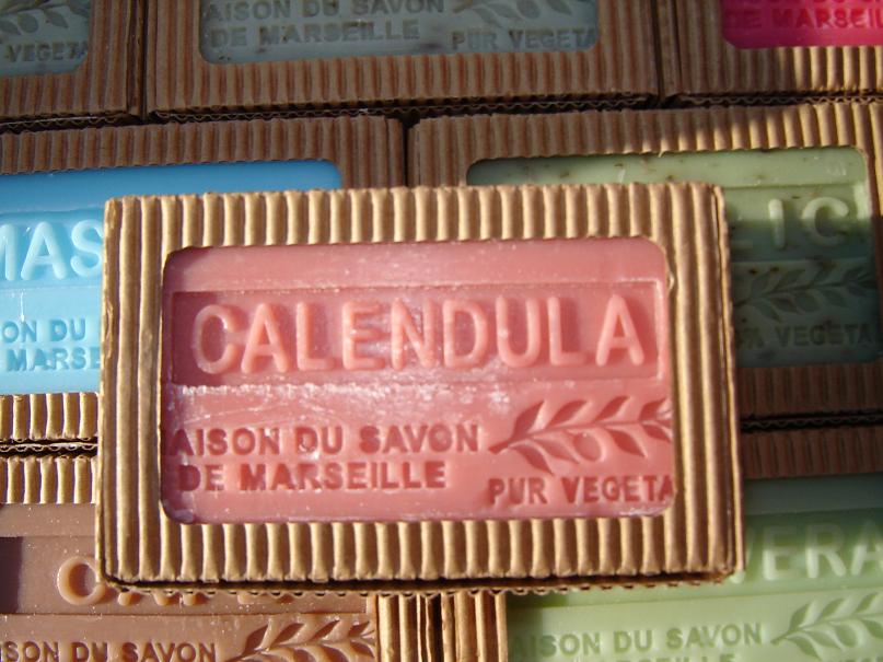 calendula