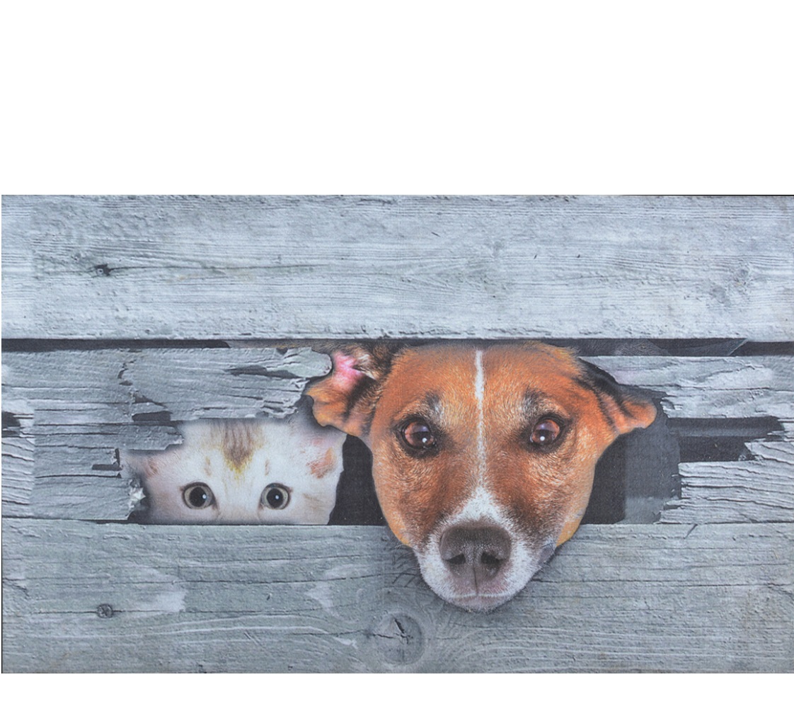 deurmat_kiekeboe_hond_en_kat