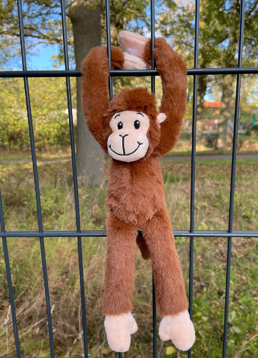 hangaap_bruin_30cm_8715964155049