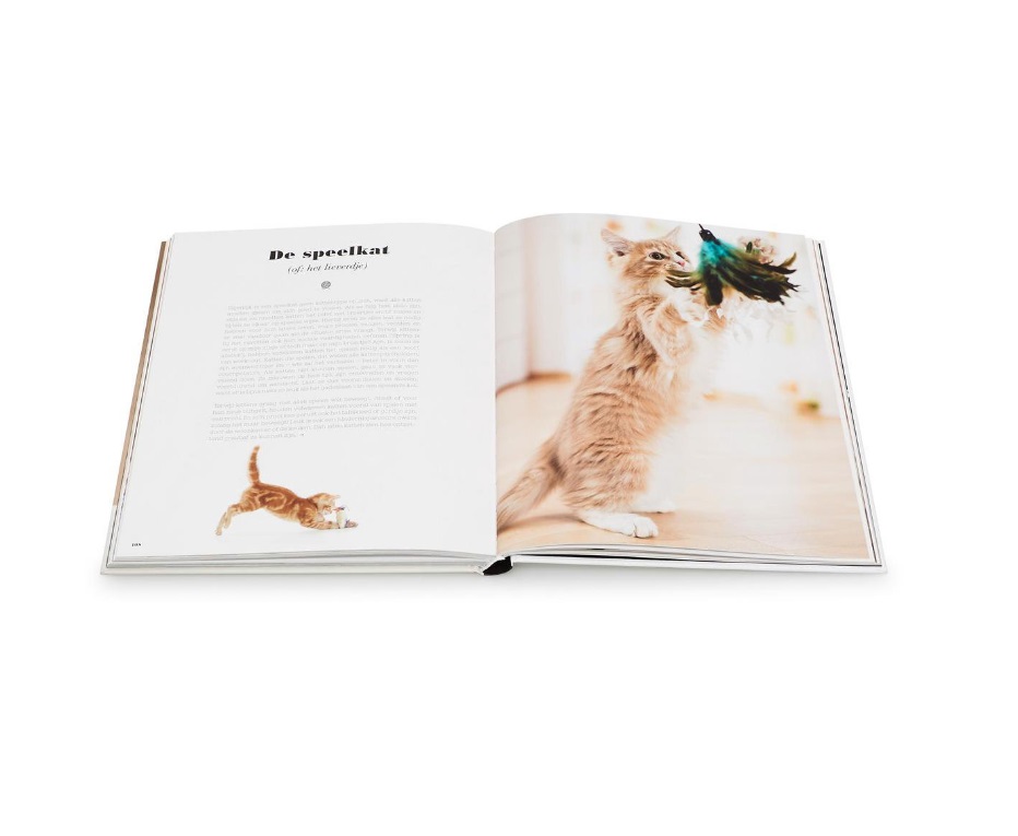 liefde_voor_katten_anna_cavelius_3