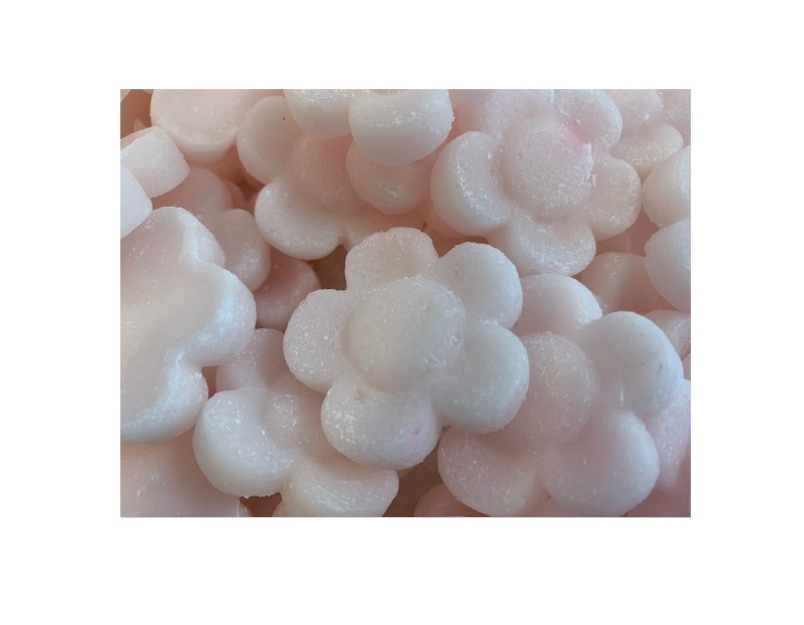 little_hotties_wax_melts_magnolia