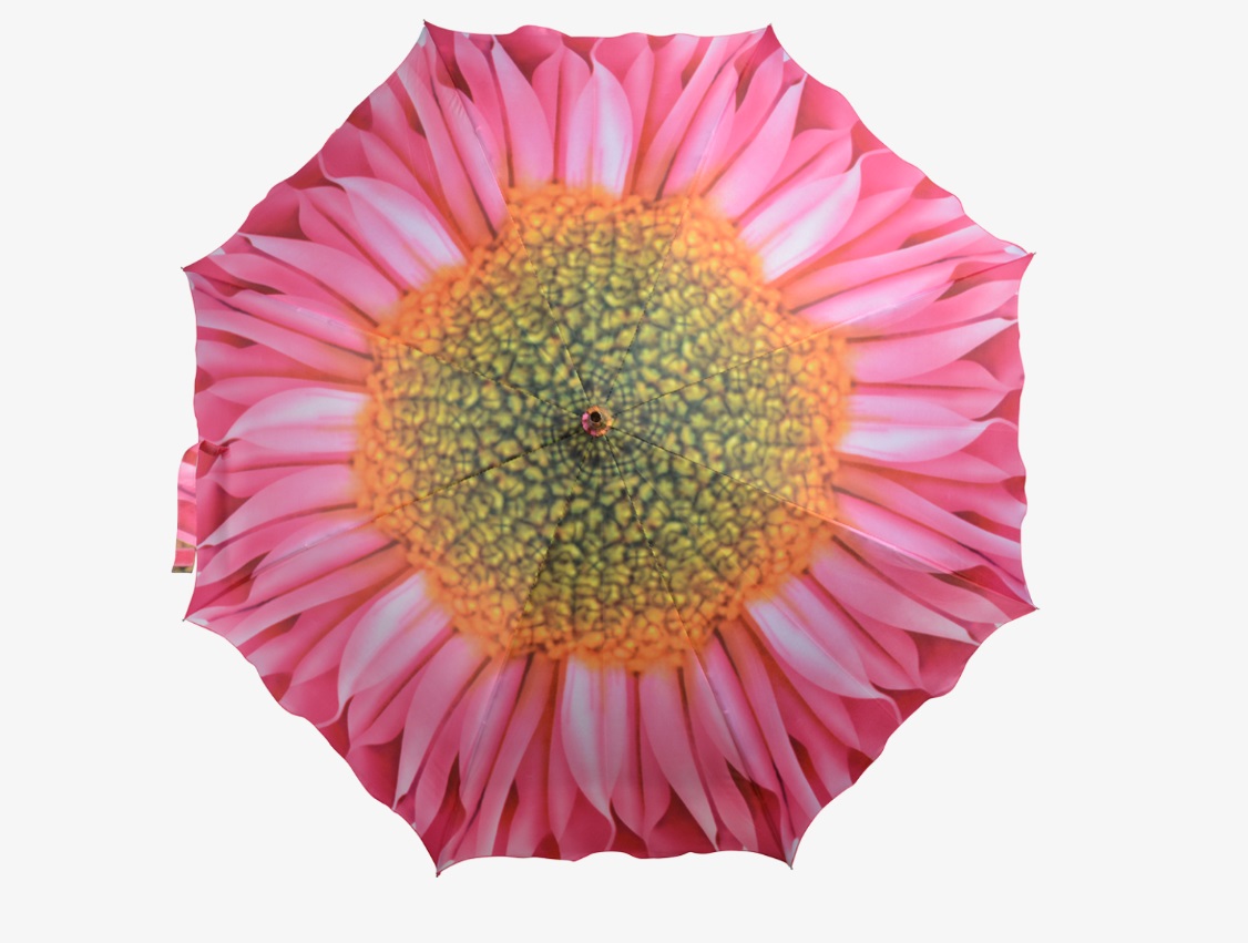 paraplu_gerbera_2