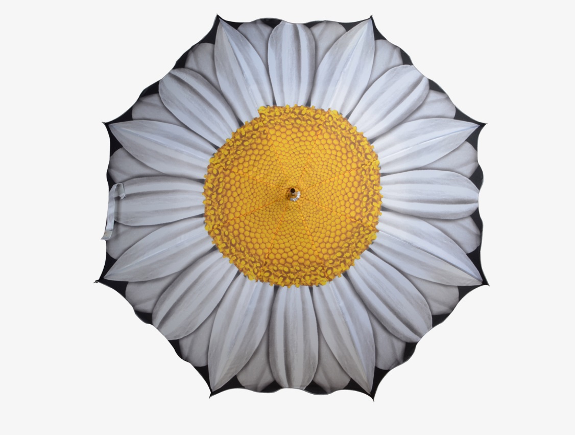 paraplu_margriet_2