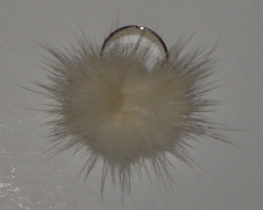 ringdonsgebwitzilver