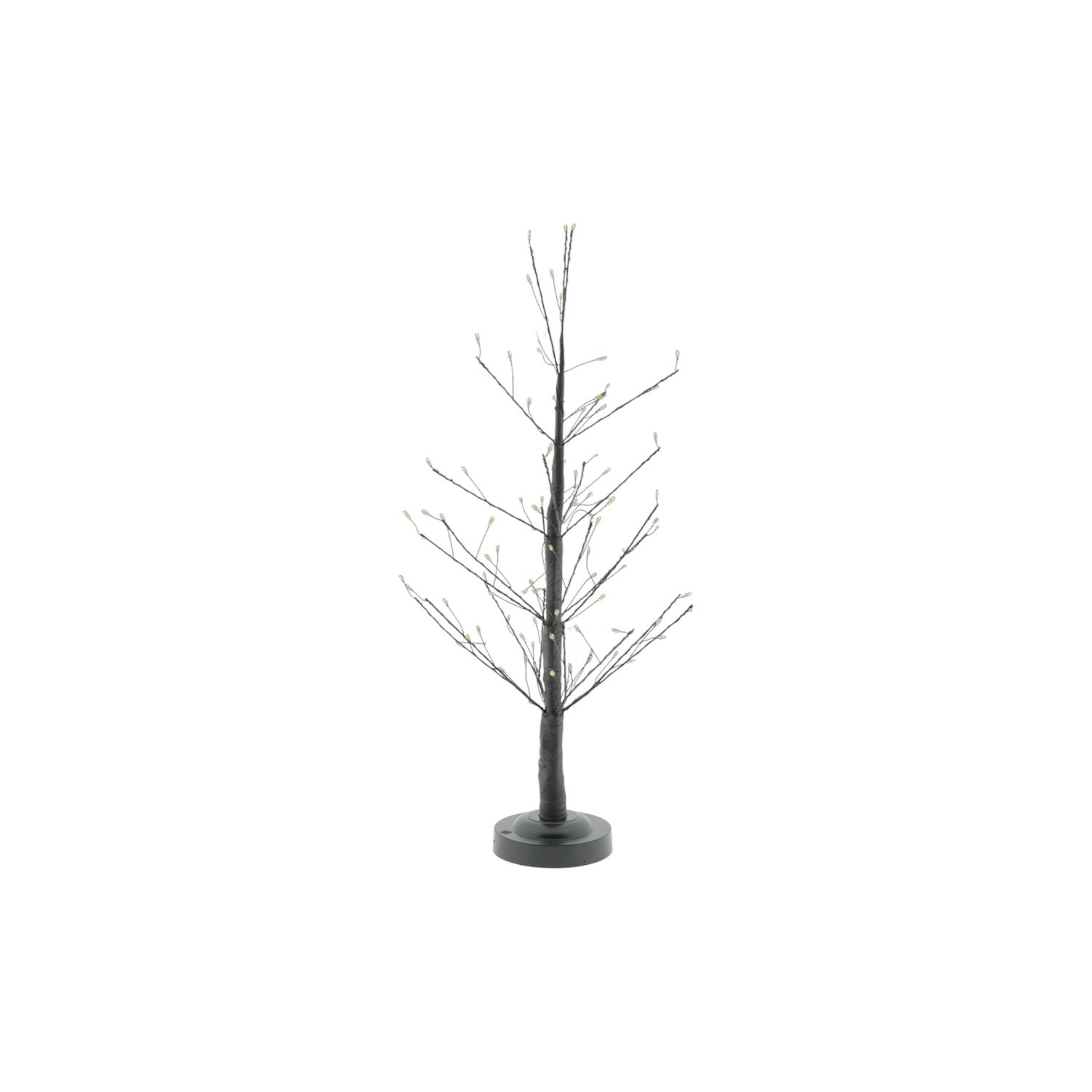Home_society_boom_frosty_S_693412